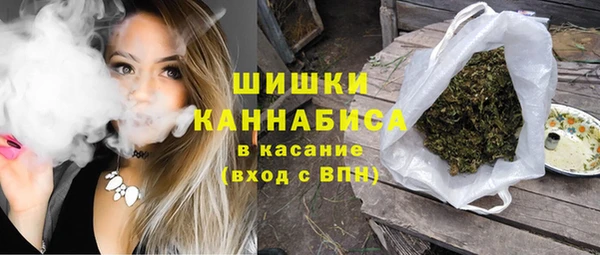 ГАЛЛЮЦИНОГЕННЫЕ ГРИБЫ Арсеньев