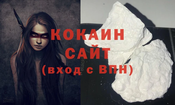 ГАЛЛЮЦИНОГЕННЫЕ ГРИБЫ Арсеньев